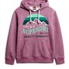 Superdry Herren Hoodie Kapuzenpullover lässig Logo
