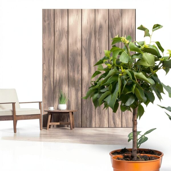 Aprikosenbaum Prunus Armeniaca Meine Orangerie kompakt süße-3