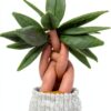 Gefüllter Geldbaum Polyester 50cm Spielzeug für Kinder-3