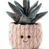 Apricot Lamb Aloe Pflanze Plüschtiere 21 cm Grün weiches Kuscheltier-5