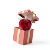 Apricot Lamb Apfel Essen Plüsch 13 cm Rot Kuscheltier für Kinder-1