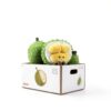 Apricot Lamb Durian Plüschtier für Kinder – Gelb 14 cm Stofftier-1