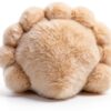 Apricot Lamb Muschel Plüsch Blau 10 cm – weiches Kuscheltier für-4