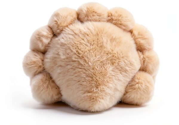 Apricot Lamb Muschel Plüsch Blau 10 cm – weiches Kuscheltier für-4