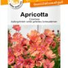Blumensamen Apricotta Cosmee Portion-0