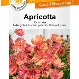 Blumensamen Apricotta Cosmee Portion-0